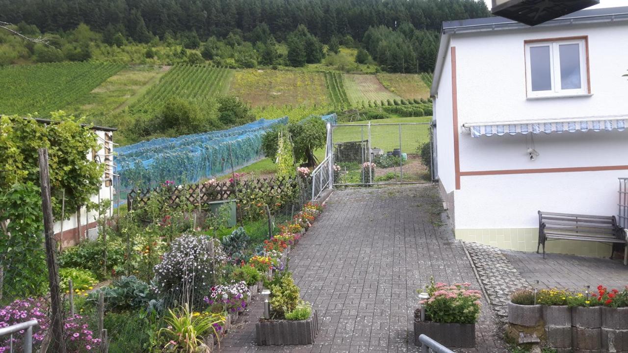 Zwei Ferienwohnungen "Im Weingarten " Burg  外观 照片