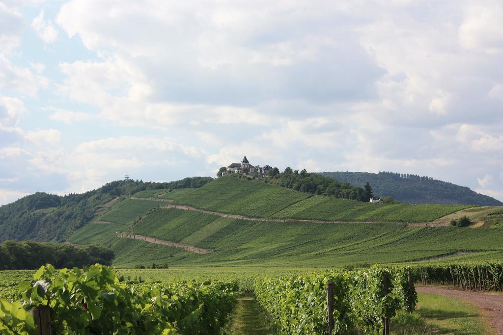 Zwei Ferienwohnungen "Im Weingarten " Burg  客房 照片